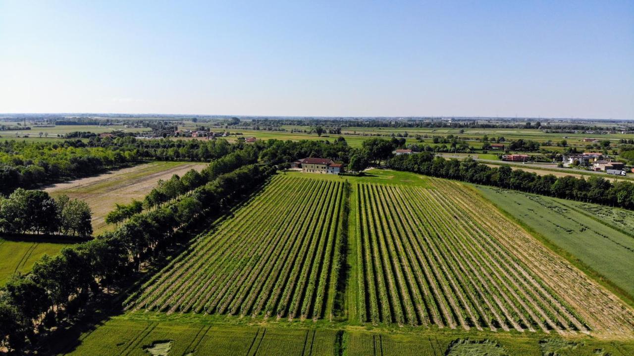 Agriturismo Ae Cavane Codevigo Eksteriør bilde